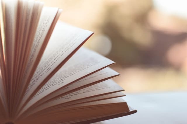 beneficios-lectura-productividad